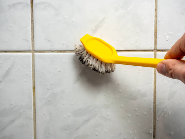 South St Paul, MN Mold Remediation Company